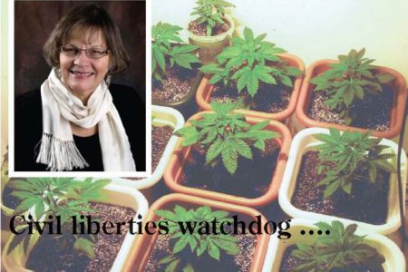 Coun. Stacey weighs in on warrant-less entry for grow ops
