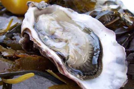 Oysters for Literacy — with Arthur Black