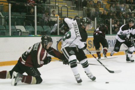 Vipers trade ex-Leaf Correale to Grande Prairie Storm