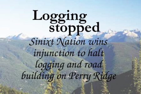 Logging stopped as Sinixt win injunction in court