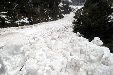 New snow in backcountry compounds avalanche risk