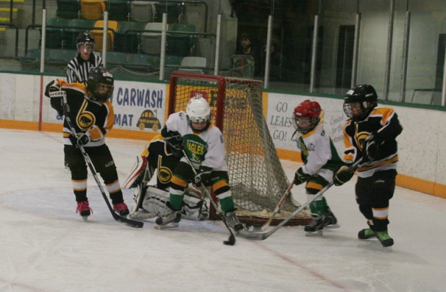 Nelson Ford Shootout Novice Tournament fills Nelson with hockey fans