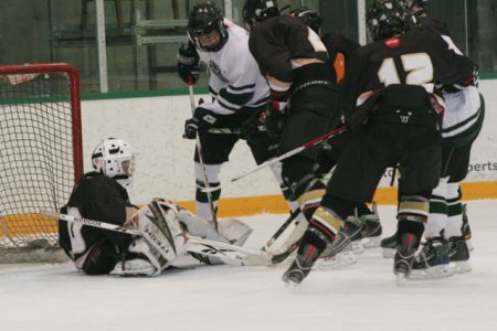 Nelson survives series against pesky Rebels, off to provincials in Smithers