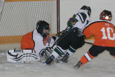 Nelson Minor Hockey salutes its movers and shakers at awards banquet