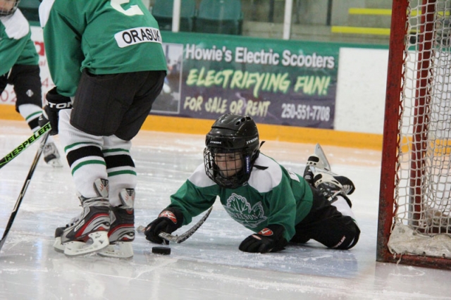 Lots of fun, and hockey, at the Nelson Ford Novice Shootout