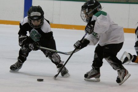 Novice kids put on great show during intermission at Nelson Leafs/Castlegar Rebels game