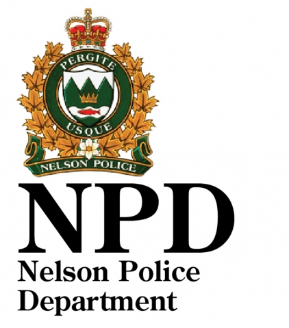 Bears continue to be a concern for police, Nelson residents