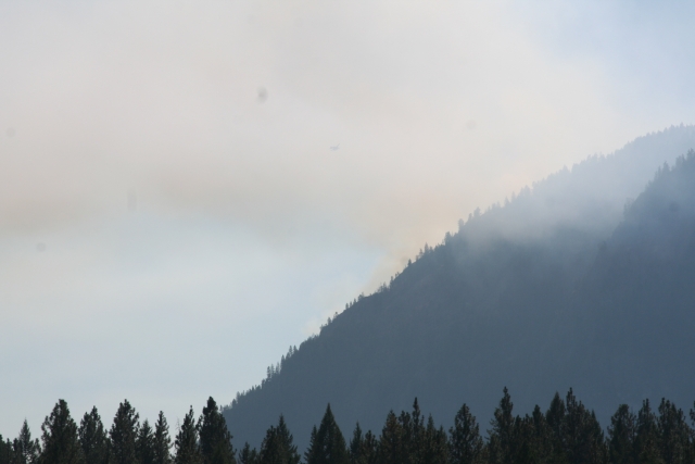 Forest fire burning south of Cascade Border crossing near Christina Lake