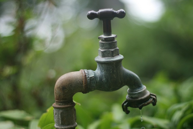 Nelson Council Debates Water Metering