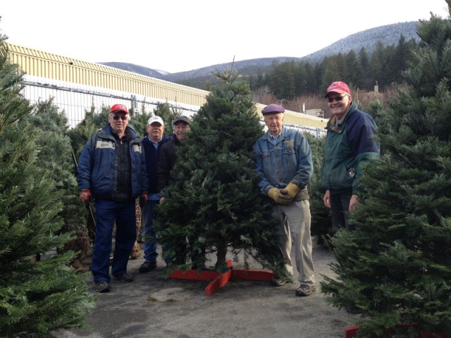 Rotary Nelson kicks off Christmas Tree sales Friday