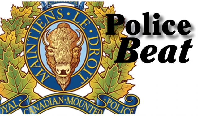 Police ask for public assistance in Blewett dog shooting