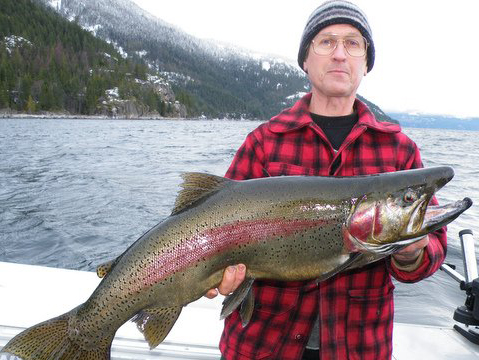 Reel Adventures Charters — Big Fish Season is happening