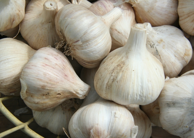 Study shows garlic makes baby formula safer to consume