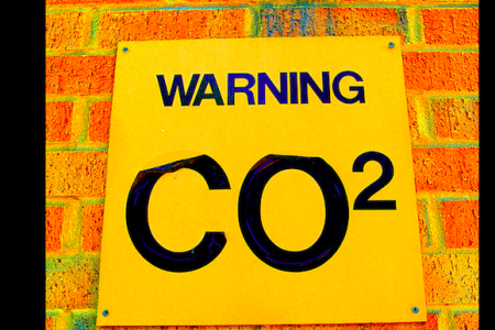 Nelson is a municipal leader in carbon emission reductions, say city staff