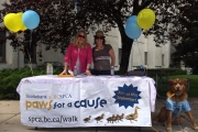 Get ready for BC SPCA Paws for a Cause Walk