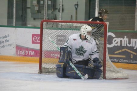 Nitros score twice in the third to double Leafs 4-2