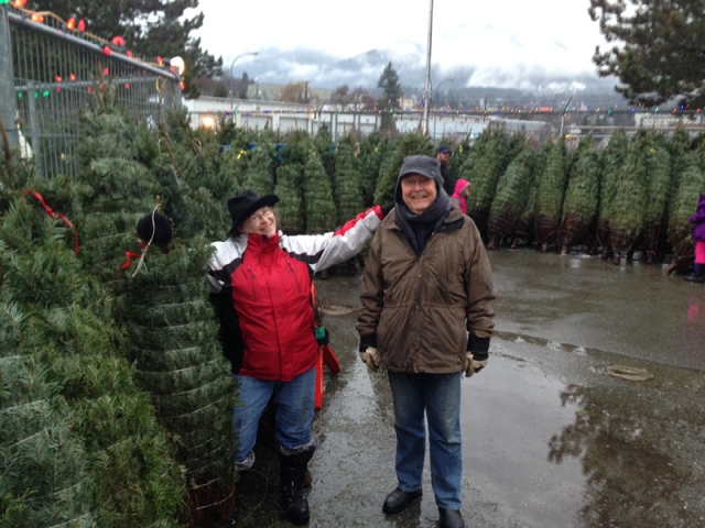 Christmas Trees, get your Rotary Christmas Trees