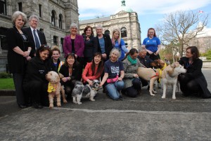 NDP MLA proposes new bill to help protect animals in distress