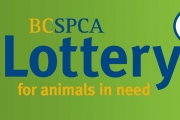 It’s a win-win: Buy tickets, help animals in BC SPCA Lottery for animals in need