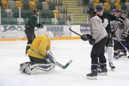 Full roster expected to take to the ice for Leafs spring camp