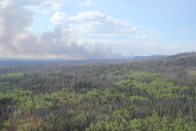 Fire season heating up throughout province