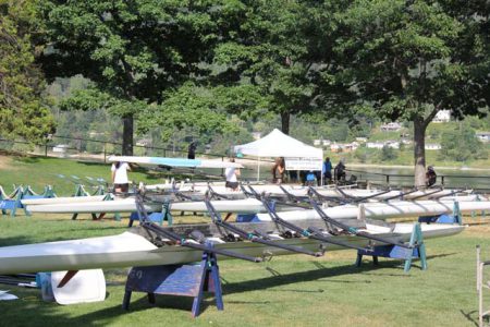 Nelson Sprints are rowing back to Heritage City