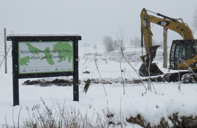 Meadow Creek wetland project now largest on private land in Canada