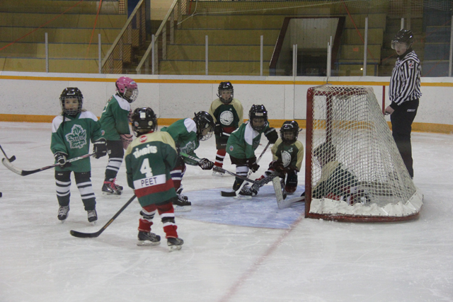 Future of hockey unveiled at Nelson Novice Tournament
