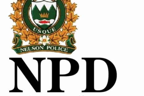 NPD start New Year with arrest of two men for theft, assault