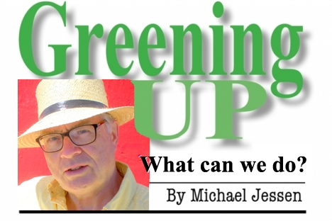 Greening Up — Disrupting the Narrative