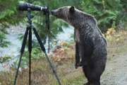 Deadline approaches for entry into West Kootenay Camera Club Photo contest