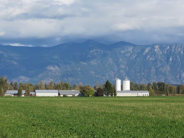 Kootenay Columbia's MP challenges Liberals to protect local dairy farmers