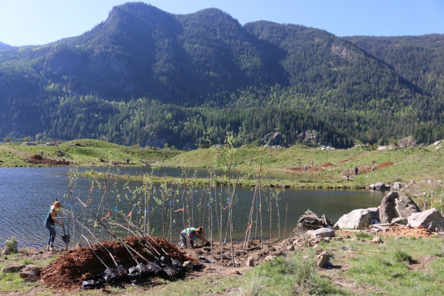 Selkirk College Students Assist Arrow Lakes Restoration Project