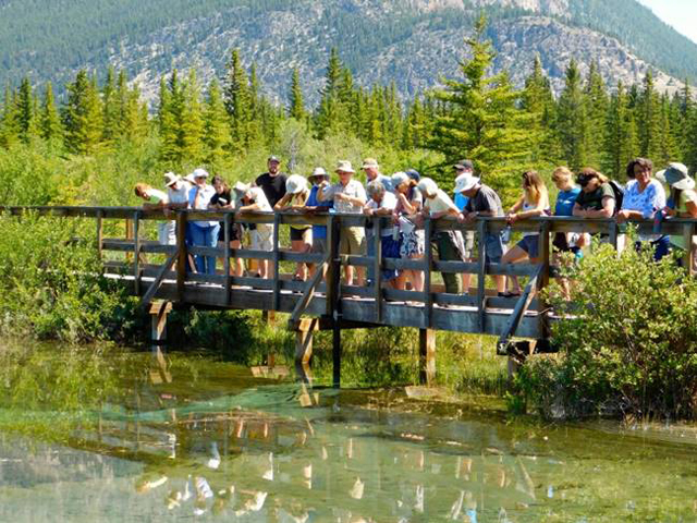 Forum This Fall to Explore New Approaches to Freshwater Decision-Making in BC