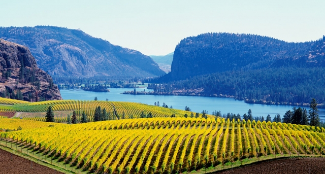 It's about time B.C. wineries catch a break in selling product