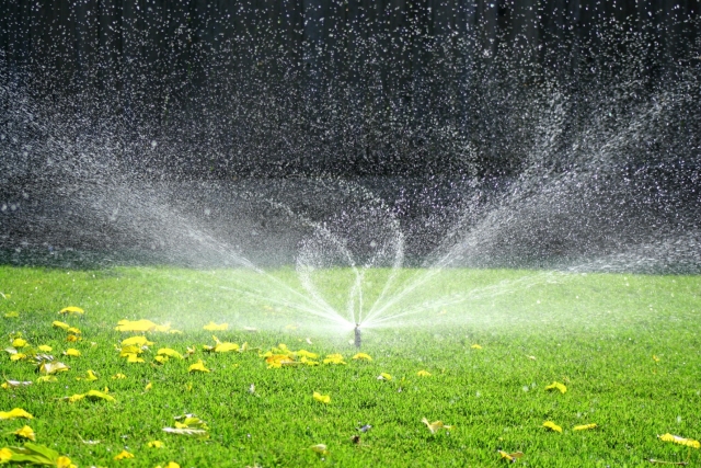 City of Nelson ushers in water restrictions due to supply