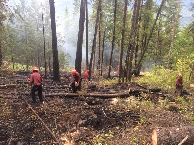 UPDATED: Laird Creek wildfire near Balfour now 100 percent contained