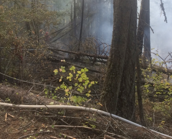 Nelson Fire Rescue help extinguish wildfire on Giveout Creek Road