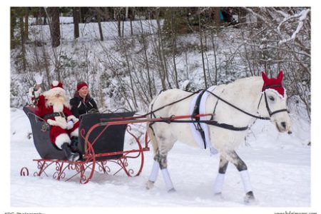 And of course Santa made an appearance arriving in his own horse-led sleigh.