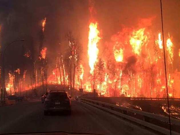 BC SPCA escalates rescue efforts for animals affected by wildfires