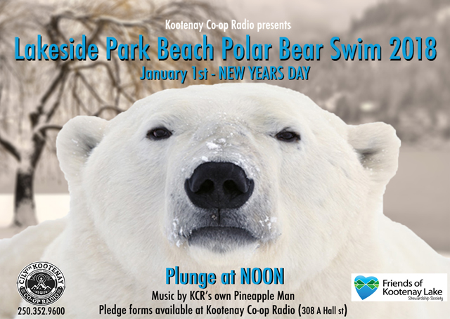 Come one, come all to the annual Polar Bear Swim