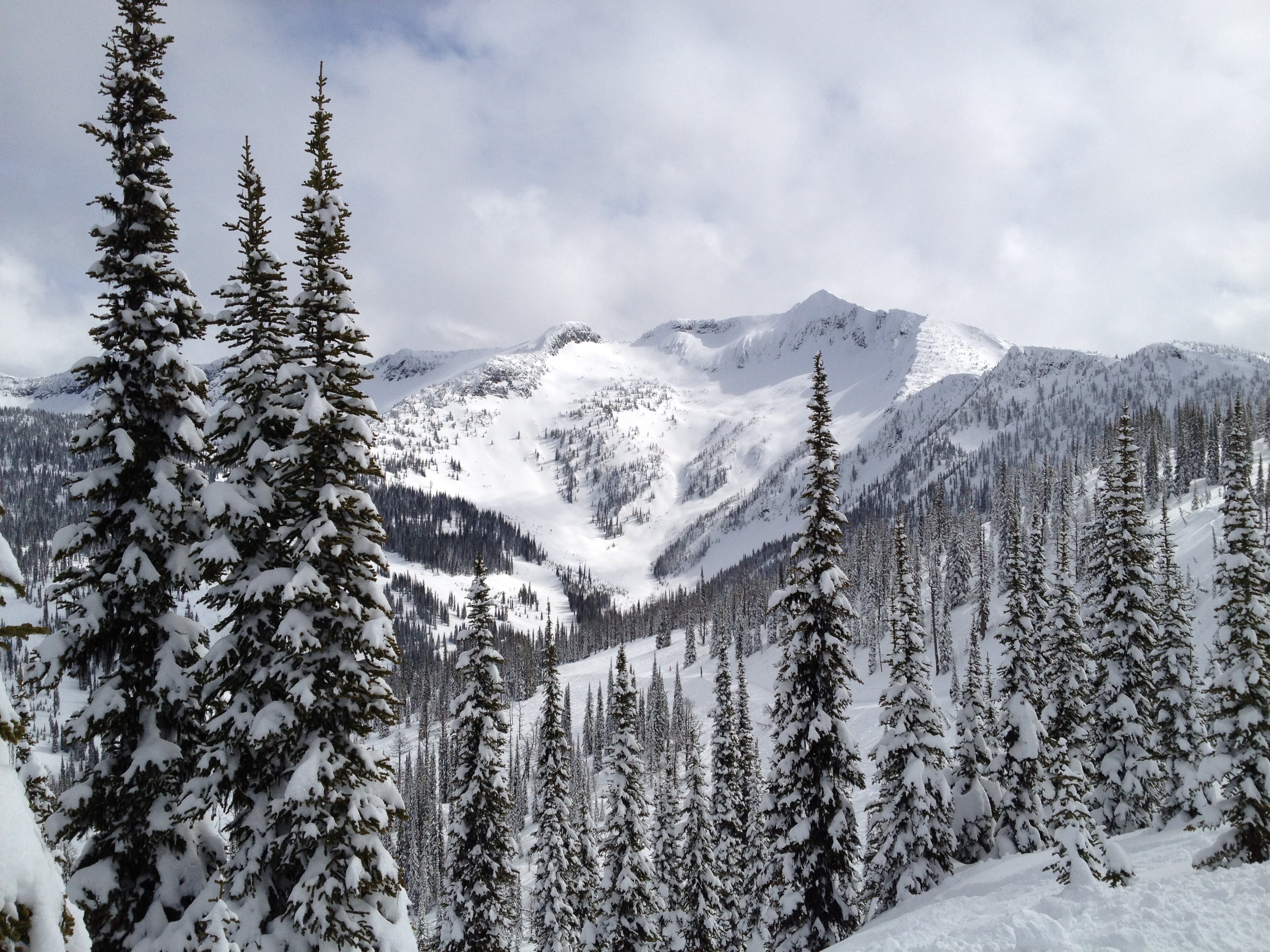 Backcountry Skier Rescued from Avalanche near Whitewater