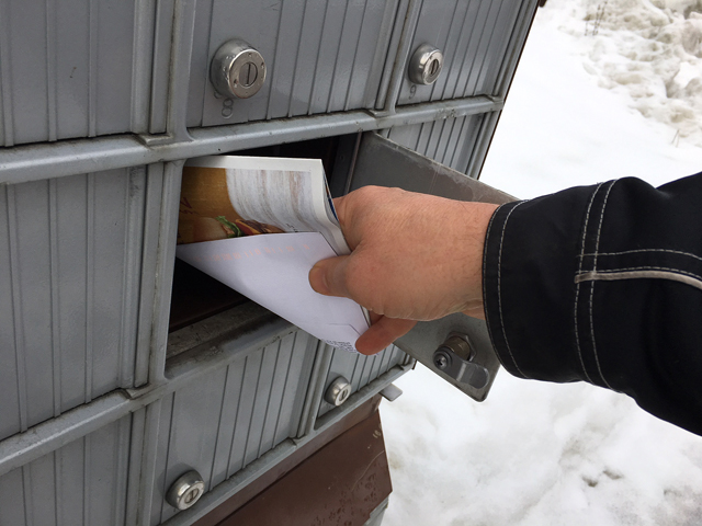 Two males arrested following theft of Canada Post mailboxes