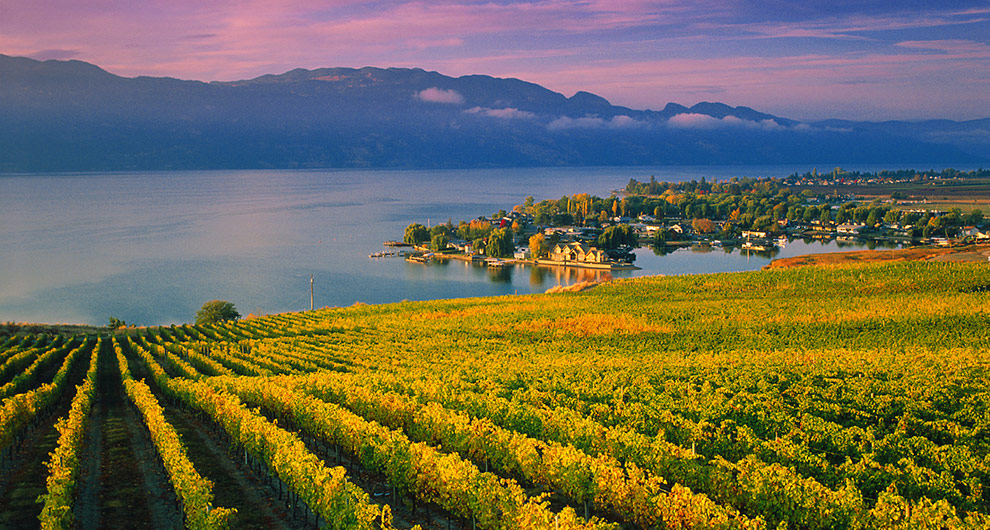 BC takes further action to protect B.C. wine industry