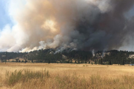 CBT donates over $800,000 to mitigate wildfire risk