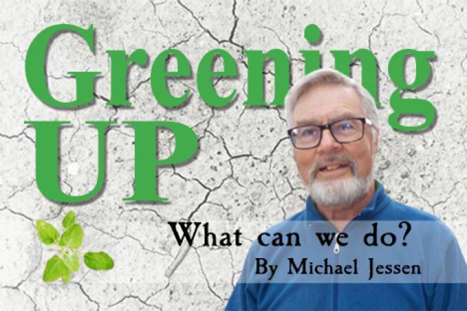 Greening Up: The Other Road