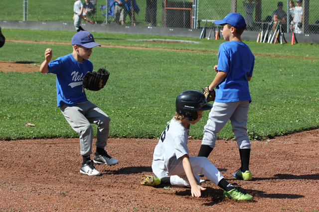 Rookies close out season with Lions Park Minor Baseball Tournament