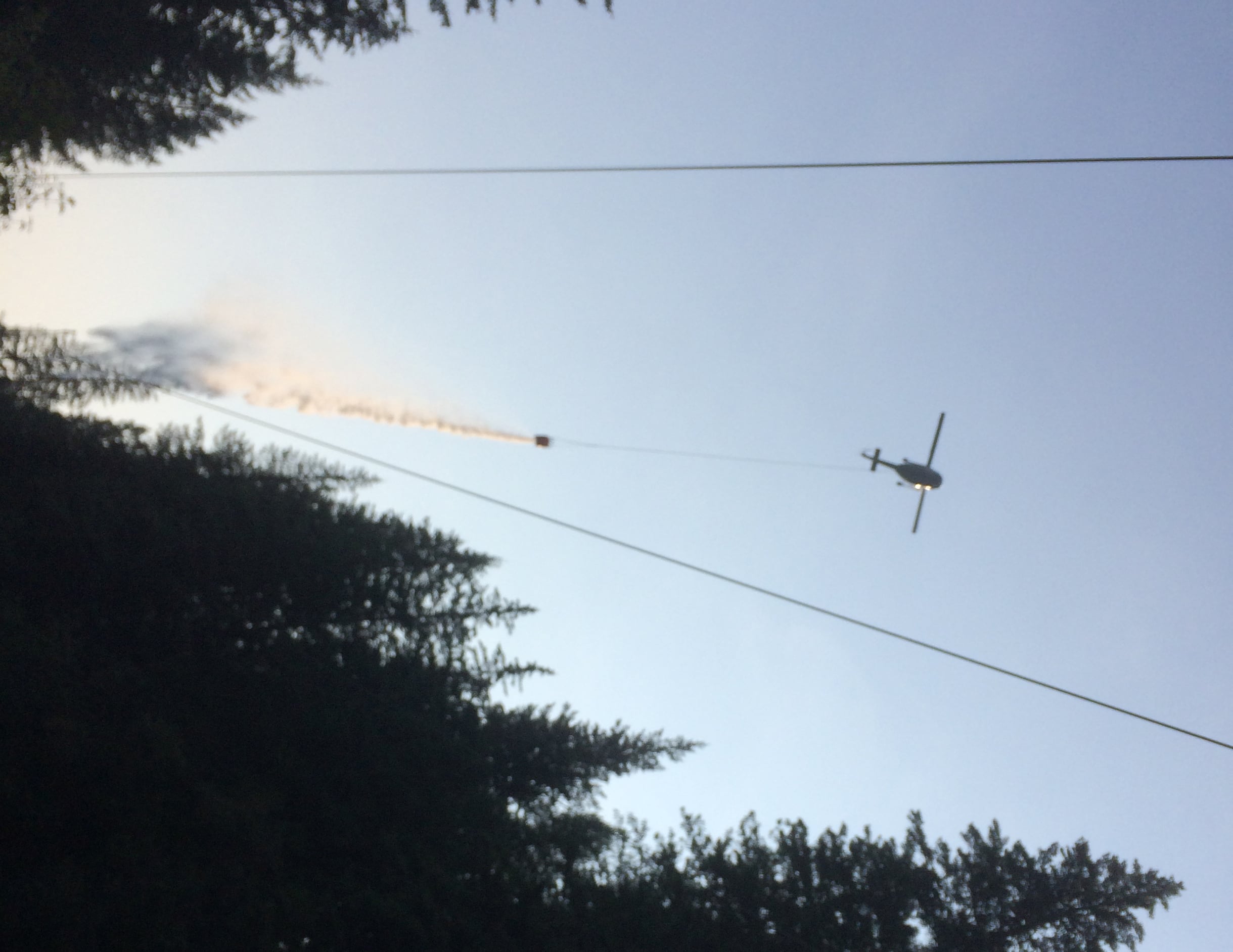 Fire crews get better of wildfire near Queens Bay - The Nelson Daily