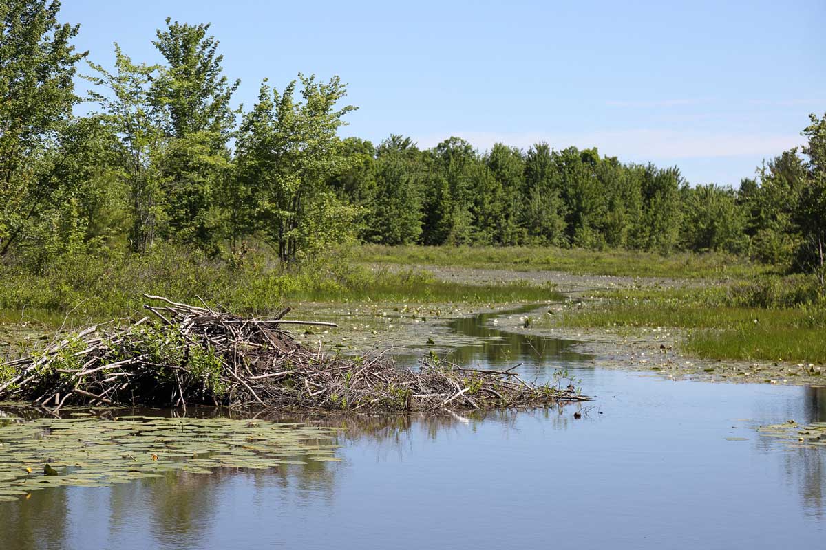 Ecological Reserves in the Hudson Bay Area