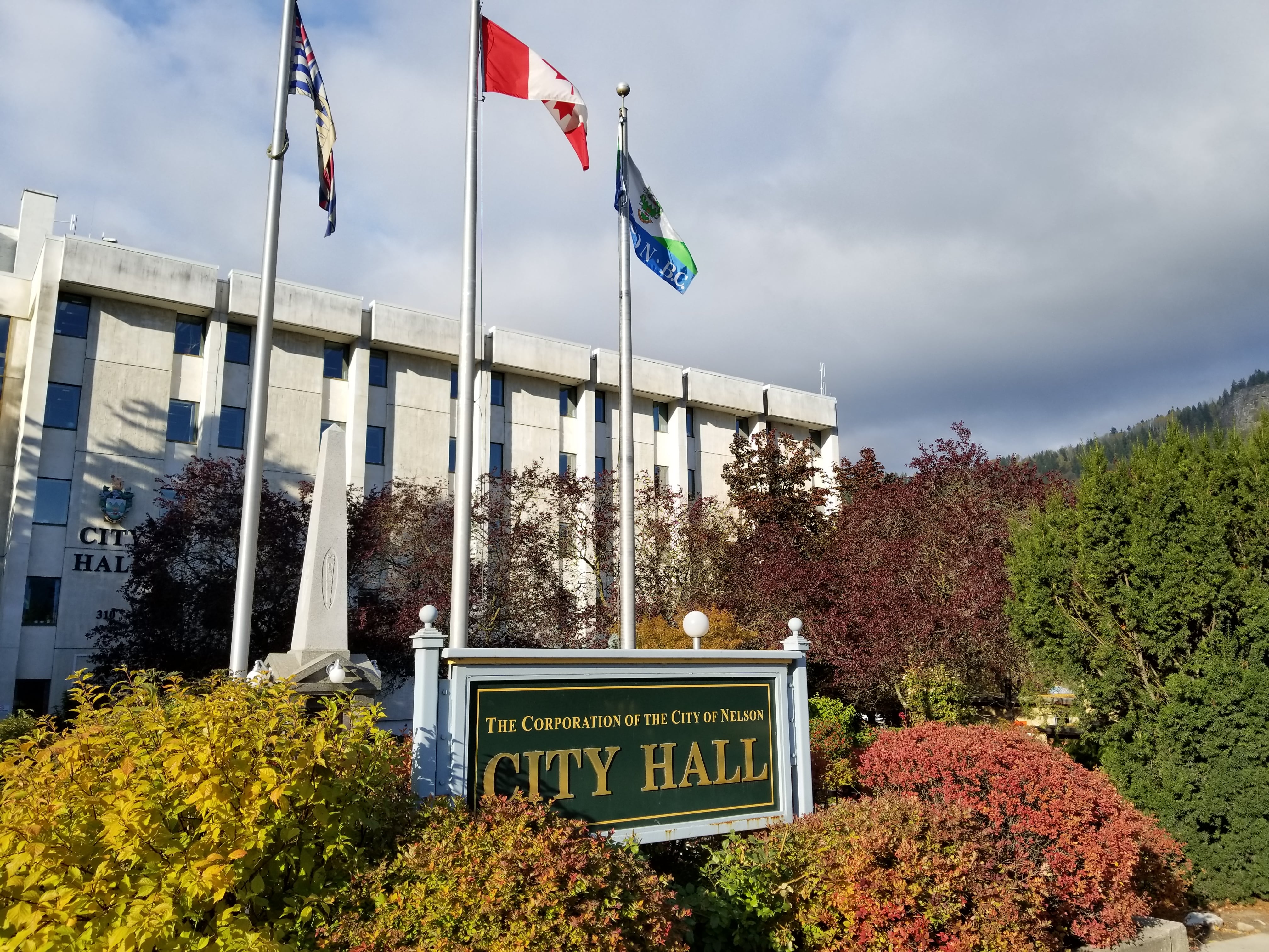 Sports ambassador policy passed by Council
